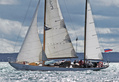 Zvezda ex Stella in Tall Ship's race 2009