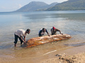 The log is floated in water